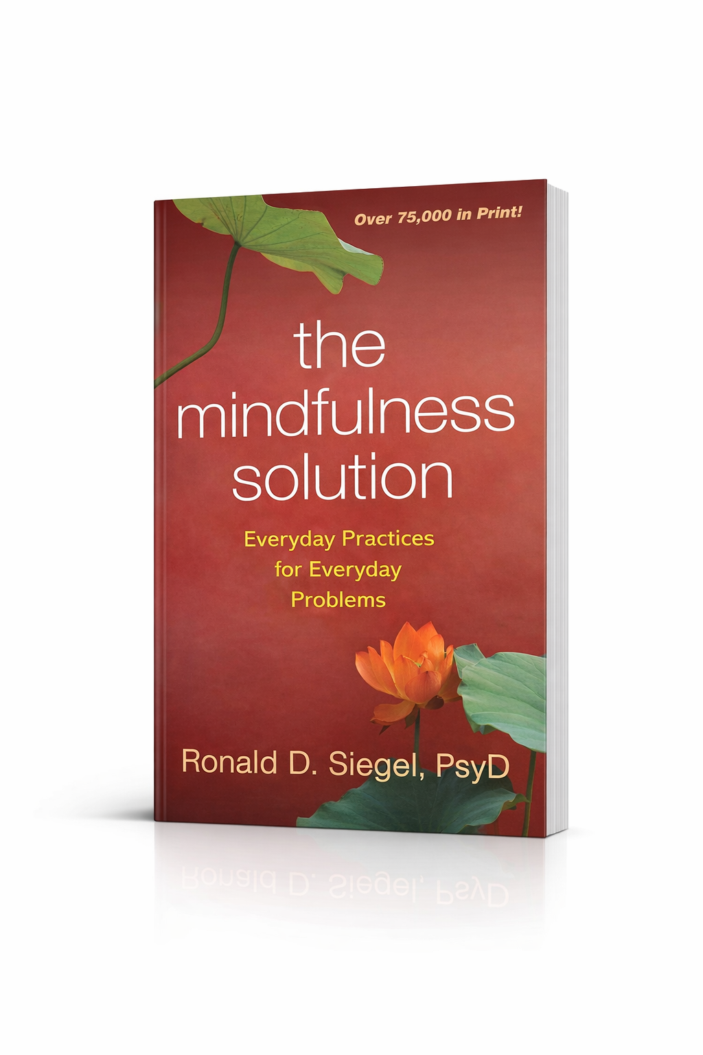 The Mindfulness Solution