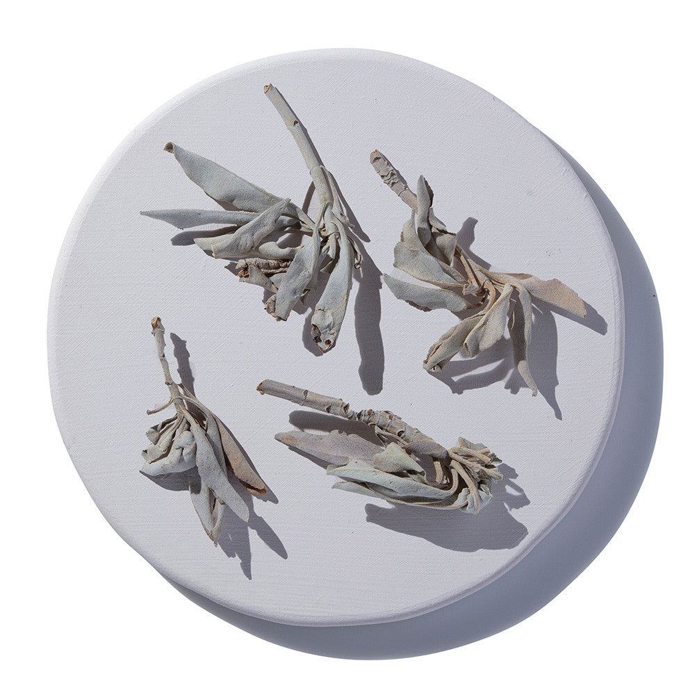 White Sage Leaf